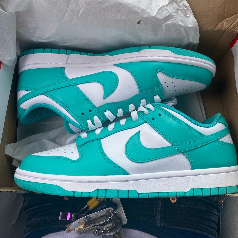 Nike Dunks Low